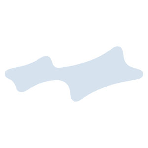SKYLRK